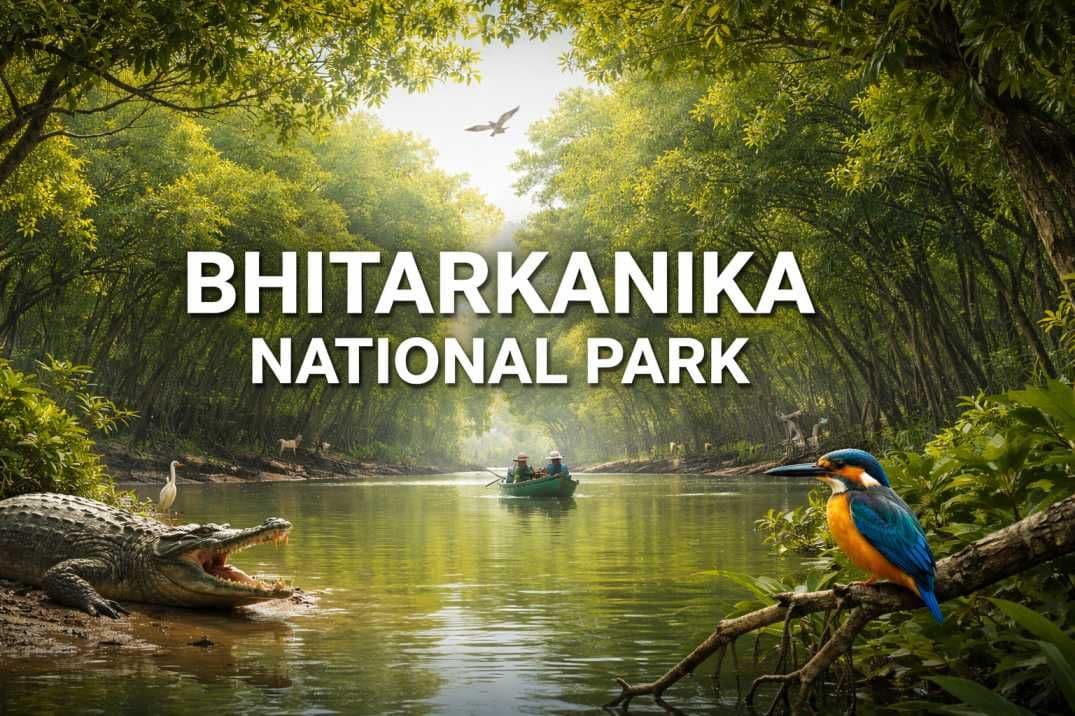 Bhitarkanika National Park in Odisha | UPSC Notes