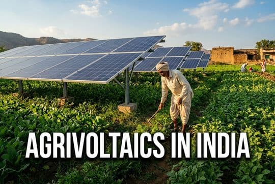 Agrivoltaics in India: How PM-KUSUM Can Balance Solar Power and Food Security
