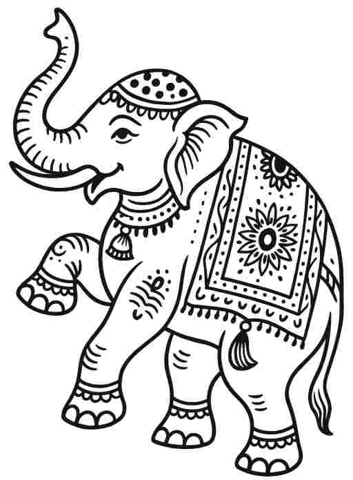 Elephant