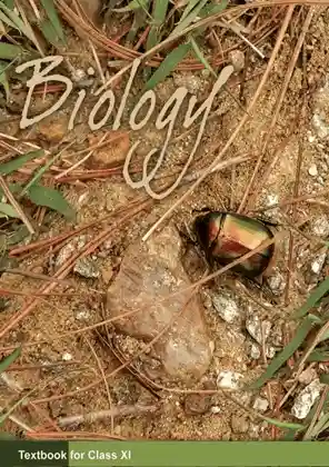 NCERT - Biology